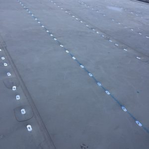 PHOTO-2024-08-09-11-36-39